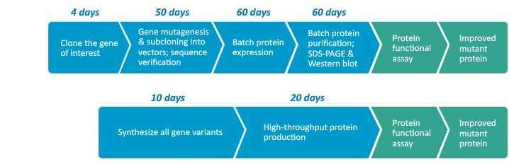 High-throughput Protein Production